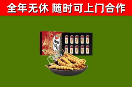博望区烟酒回收冬虫夏草礼盒.jpg