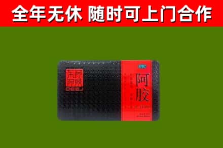 博望区回收阿胶
